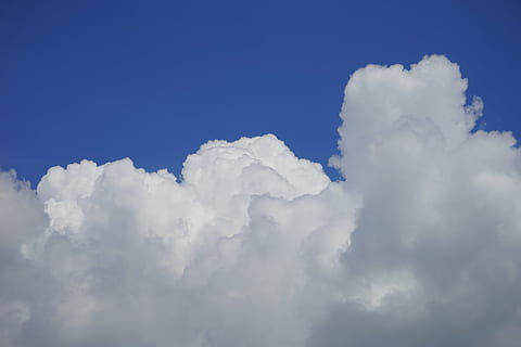 nori, cloudformation, cer, alb, albastru, cumulus, forme de nori, nor de buchet de, cumulus nori, vreme, fenomenul meteorologic, atmosfera, fenomen meteorologic, climat, nor - cer, frumusețe în natură, scenice - natura, culoare alba, liniște, nici o persoana, natură, o scenă liniștită, fundaluri, vedere unghiulară joasă, zi, idilic, Cloudscape, în aer liber, spațiu copie, pufos, moliciune, meteorologie, 5K, CC0, domeniu public, fără drepturi de autor