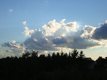 wolken, hemel, humeur, blauw, overdekte lucht, zon, boom, fabriek, schoonheid in de natuur, kalmte, wolk - lucht, rustige scène, silhouet, scenics - natuur, natuur, geen mensen, groei, niet-stedelijke scène, lage hoekweergave, buitenshuis, zonsondergang, dag, zonlicht, Bos, land-, 2K, CC0, publiek domein, royaltyvrij