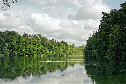 llac, bosc, arbres, núvols, naturalesa, cel, escènic, harmonia, descans, verd, humor, arbre, planta, aigua, reflexió, núvol - cel, bellesa a la natura, color verd, escenics - natura, tranquil·litat, creixement, escena tranquil·la, dia, cap gent, escena no urbana, idíl·lic, bosc de pi, arbre de coníferes, 5K, CC0, domini públic, lliure de regalies
