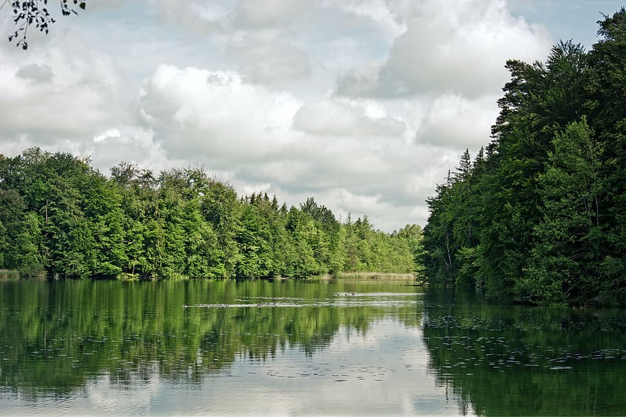 llac, bosc, arbres, núvols, naturalesa, cel, escènic, harmonia, descans, verd, humor, arbre, planta, aigua, reflexió, núvol - cel, bellesa a la natura, color verd, escenics - natura, tranquil·litat, creixement, escena tranquil·la, dia, cap gent, escena no urbana, idíl·lic, bosc de pi, arbre de coníferes, 5K