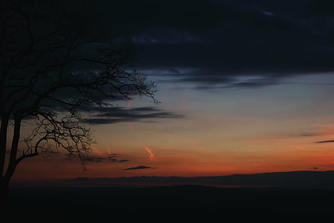 strom, tajemný, stín, les, krajina, nebe, silueta, estetický, mraky, scénický, západ slunce, atmosférický, atmosféra, nálada, Příroda, abendrod, Červené, slunce, oranžový, účtovat, večer, hory, světlo, paprsky, červený mrak, soumrak, contrail, žlutá, chem stezky, Pohled, jaro, krása v přírodě, mrak - nebe, klid, klidné scény, rostlina, scenics - příroda, oranžová barva, nikdo, holý strom, větev, idylický, mimoměstské scény, venku, životní prostředí, romantické nebe, 5K, CC0, veřejná doména, bez autorských práv