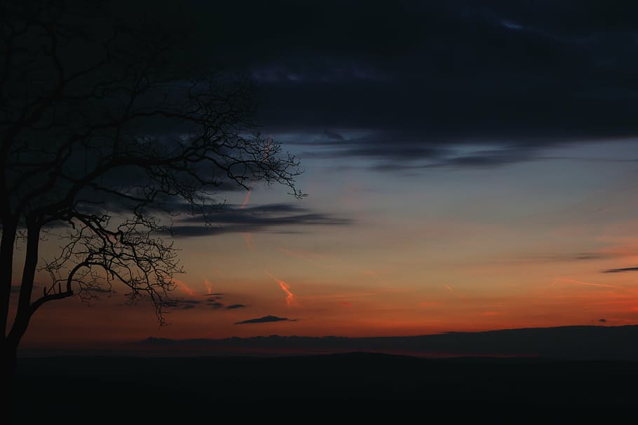 strom, tajemný, stín, les, krajina, nebe, silueta, estetický, mraky, scénický, západ slunce, atmosférický, atmosféra, nálada, Příroda, abendrod, Červené, slunce, oranžový, účtovat, večer, hory, světlo, paprsky, červený mrak, soumrak, contrail, žlutá, chem stezky, Pohled, jaro, krása v přírodě, mrak - nebe, klid, klidné scény, rostlina, scenics - příroda, oranžová barva, nikdo, holý strom, větev, idylický, mimoměstské scény, venku, životní prostředí, romantické nebe, 5K