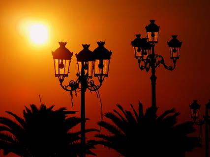 llanterna, sol, a l'est, cel, vermell, silueta, equips d’il·luminació, il·luminat, posta de sol, llum del carrer, nit, carrer, color taronja, naturalesa, planta, vista d’angle baix, cap gent, arbre, a l'aire lliure, electricitat, llum, Palmera, llum elèctrica, antiguitat, 2K, CC0, domini públic, lliure de regalies