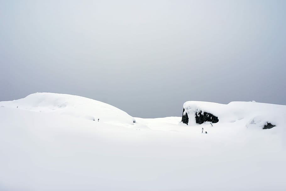 hivern, fred com el gel, uppsala, suècia, neu, gel, fred, nevat, blanc, paisatges, temperatura de fred, a l'aire lliure, un animal, cap gent, medi ambient, escenics - natura, paisatge, naturalesa, cel, muntanya, Color blanc, dia, bellesa a la natura, terra, tranquil·litat, congelat, gent, longitud completa, neu profunda, muntanya nevada, nevar, 2K