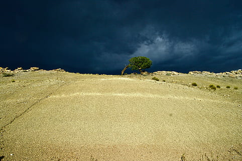 hemel, Black Light, zwart, licht, landschap, wolk - lucht, natuur, buitenshuis, Vakantiebestemmingen, land-, scenics - natuur, schoonheid in de natuur, kalmte, rustige scène, geen mensen, zand, fabriek, milieu, niet-stedelijke scène, afgelegen, dag, idyllisch, boom, zonlicht, klimaat, droog klimaat, 4K, CC0, publiek domein, royaltyvrij