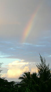 regnbue, himmel, skyer, atmosfære, cumulus, regnbue farver, Saipan, regn, troperne, sky - himmel, skønhed i naturen, scenics - natur, træ, plante, rolig scene, ro, ingen mennesker, natur, idyllisk, solnedgang, ikke-urbane scene, lav vinkel visning, udendørs, landskab, miljø, multi farvet, dobbelt regnbue, 1080P, CC0, offentligt domæne, royaltyfrie