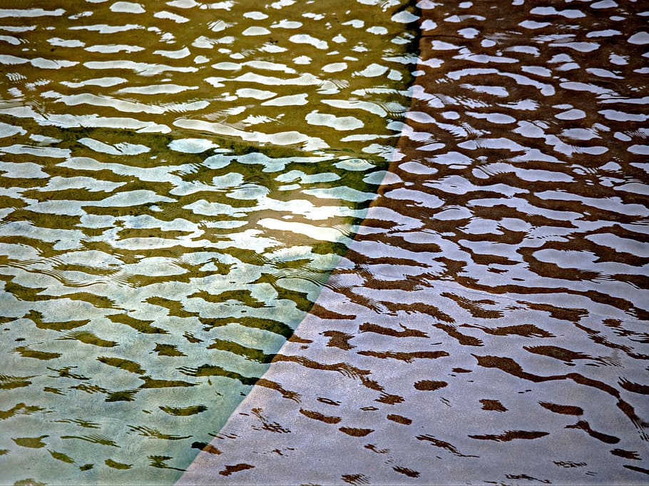 ondulació, aigua, superfície, patró, onada, aigua, superfície, resum, ombra, contrast, llum, fosc, wavelet, longitud d’ona, límit, divisió, partició, naturalesa, fons, textura, marc complet, cap gent, primer pla, vista d’angle alt, dia, color verd, flotant, davant del mar, humit, full, bellesa a la natura, a l'aire lliure, part de la planta, flotant a l'aigua, patró natural, sòl de rajoles, piscina, fulles, 4K