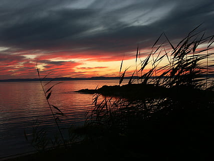 posta de sol, riu, tarda, reflexions, color, llum, nit, cursos d'aigua, aigua, reflexos de llum, naturalesa, mar, vespre, cel, platja, estiu, a l'aire lliure, núvol - cel, bellesa a la natura, tranquil·litat, escenics - natura, escena tranquil·la, cap gent, cel dramàtic, silueta, idíl·lic, escena no urbana, reflexió, planta, horitzó, cel malhumorat, horitzó sobre l’aigua, 1080P, CC0, domini públic, lliure de regalies