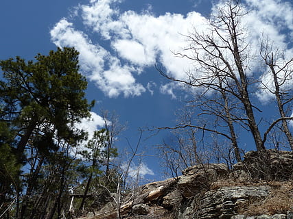 Bäume, Felsen, Wolken, Weiß, flauschige, Himmel, blauer Himmel, Flora, hölzern, holzig, Stauden, Landschaft, szenisch, draußen, hlls, Berge, Steine, felsig, hell, sonnig, Tag, Natur, Baum, Blau, szenen, Wald, wolke - himmel, keine Leute, Pflanze, Flachwinkelansicht, Schönheit in der Natur, Ruhe, Land, Ast, Szenen - Natur, Wachstum, ruhige Szene, Nicht-städtische Szene, kahler Baum, Rock, 4K, CC0, gemeinfrei, lizenzfrei