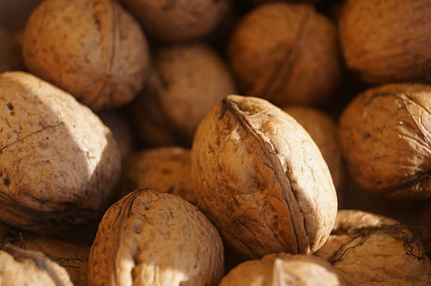 nuts, walnuts, brown, walnut, nut, shell, fruit bowl, eat, food, nut - Food, close-up, nutshell, food and drink, healthy eating, wellbeing, large group of objects, freshness, backgrounds, full frame, no people, abundance, still life, indoors, textured, selective focus, 4K, CC0, public domain, royalty free