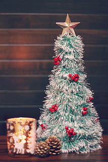selektiv, fokus fotografie, Silber-, rot, dekorativ, Weihnachtsbaum, Star, zwei, Kiefernfrüchte, selektiver Fokus, Fotografie, Baum, Kiefer, Früchte, Weihnachten, Dekoration, Feier, Winter, Urlaub, Weihnachtsverzierung, Weihnachtsdekoration, aufwendig, Geschenk, Jahreszeit, Kulturen, Dekor, Holz - Material, Humor, Tradition, Feier Veranstaltung, Ferienveranstaltung, Ornament, Baumkronen, drinnen, Veranstaltung, keine Leute, Sternform, Nahansicht, Weihnachtsbeleuchtung, beleuchtet, 1080P, CC0, gemeinfrei, lizenzfrei