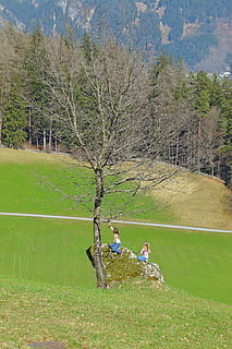 paisatge, arbre, reportat, naturalesa, fora, pedra, nens, jugar, planta, herba, activitat d'oci, dues persones, persones reals, terra, camp, dones, assegut, estils de vida, gent, dia, color verd, longitud completa, unió, homes, femelles, adult, a l'aire lliure, 2K, CC0, domini públic, lliure de regalies