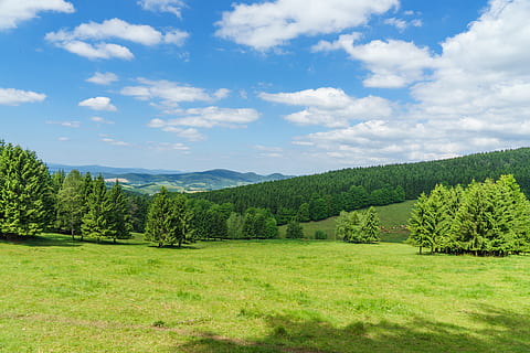 landskab, bjergrige, skyer, rummelig, sommer, hdr, natur, træ, grøn farve, himmel, græs, udendørs, scenics, eng, blå, Skov, sky - himmel, landlige scene, skønhed i naturen, ikke-urbane scene, ingen mennesker, landskaber, bakke, idyllisk, rolig scene, dag, plante, scenics - natur, ro, vækst, jord, miljø, bjerg, 5K, CC0, offentligt domæne, royaltyfrie