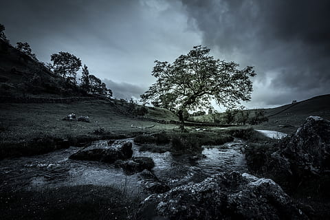 green, tree, body, water, cloudy, sky, stream, mood, moody, nature, landscape, loneliness, sad, threatening, beautiful, lightroom, silhouette, unhappy, dark, horizon, depressed, thinking, looking, alone, lonely, solitude, sadness, depression, sorrow, yorkshire, malham, emotion, expression, dramatic, emotional, despair, expressive, cloud - sky, scenics - nature, beauty in nature, environment, land, forest, plant, tranquility, non-urban scene, solid, no people, rock - object, mountain, tranquil scene, woodland, outdoors, coniferous tree, flowing water, pine tree, 5K, CC0, public domain, royalty free