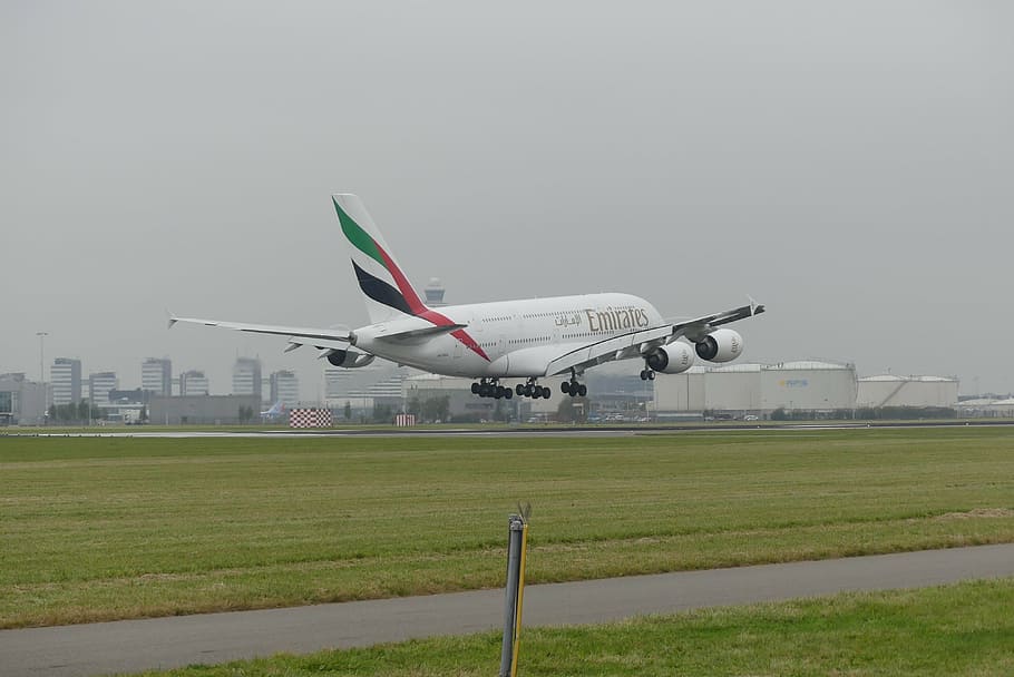 avió, eindhoven, a l'aire lliure, vehicle aeri, transport, manera de transport, aeroport, herba, pista d’aeroport, viatjar, cel, naturalesa, medi ambient, cap gent, dia, ala dels avions, volant, camp, terra, cel clar, color verd, aterratge: baixant, indústria aeroespacial, 4K