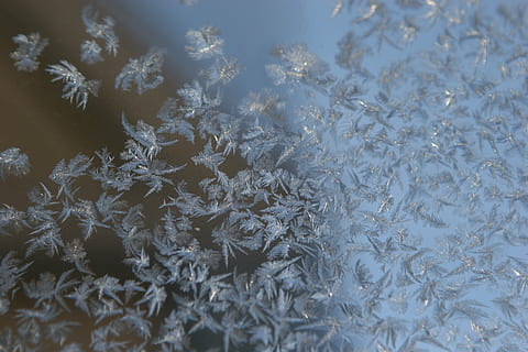 is, sne, vinter, flake, kold, jul, frost, Frosset, koldtemperatur, snefnug, sæson, baggrunde, iskrystal, natur, vejr, abstrakt, fuld ramme, ingen mennesker, kold temperatur, tæt på, selektiv fokusering, dag, mønster, skønhed i naturen, ro, sårbarhed, skrøbelighed, 2K, CC0, offentligt domæne, royaltyfrie