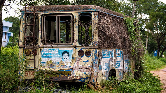 photo, classic, white, vehicle, tree, photography, beige, abandoned, bus, daytime, old, rusty, car, vineyard, green, grass, trees, outside, path, outdoors, day, no people, plant, damaged, obsolete, decline, deterioration, architecture, nature, built structure, graffiti, run-down, bad condition, building exterior, growth, weathered, ruined, 4K