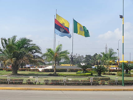 Flaggen, Pfad, Tourismus, Flagge, Patriotismus, Tag, Stolz, winken, Palme, Baum, Pflanze, Natur, Himmel, Transport, keine Leute, Stadt, Straße, Bewegung, tropisches Klima, die Architektur, gebaute Struktur, Transportmittel, draußen, Wind, 4K, CC0, gemeinfrei, lizenzfrei