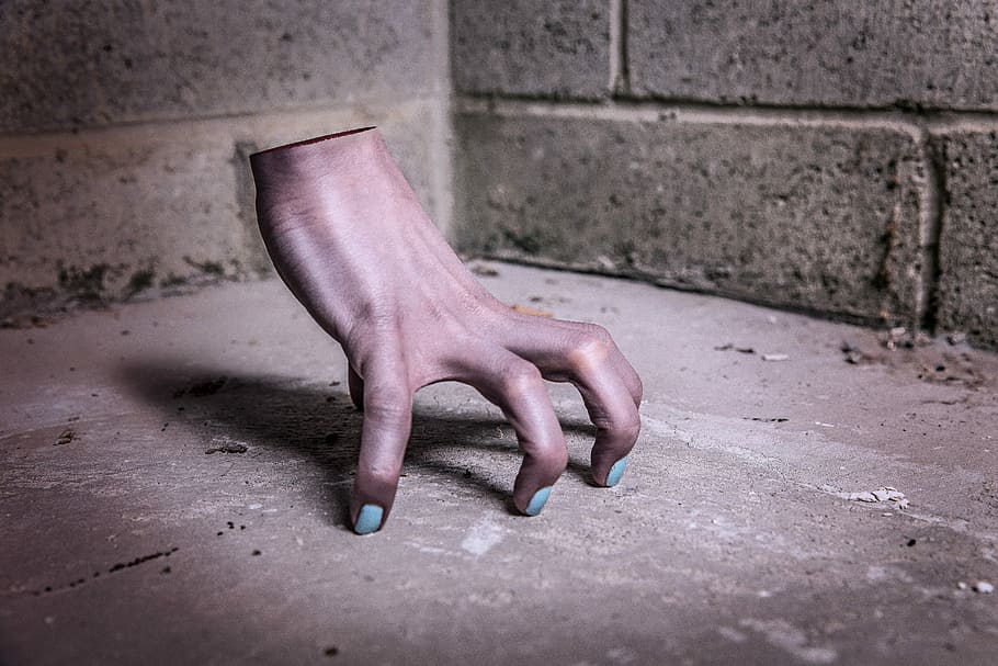 รูปมือขวา, มือขวา, ภาพถ่าย, แปลก, วัตถุ, สันหลังยาว, มือ, น่ากลัว, ร่างกาย, ฮาโลวีน, มืด, ผีสิง, สีเทา, สกปรก, ไม่ถูกอนามัย, ส่วนหนึ่งของร่างกายมนุษย์, ผู้ใหญ่, ผู้หญิงคนหนึ่งเท่านั้น, วัน, ในบ้าน, คน, คุณสมบัติผนังอาคาร, ผนัง, กลางแจ้ง, ส่วนต่ำ, สถาปัตยกรรม, ส่วนของร่างกาย, ใกล้ชิด, ขามนุษย์, สัตว์หนึ่งตัว, เท้ามนุษย์, เมือง, สีชมพู, มุมมองด้านข้าง, กิ่ง, แขนขามนุษย์, คอนกรีต, 5K