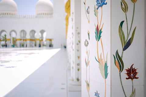 detailní, fotografie, květinový, obtisk, bílý, beton, zeď, květinové dekorace, stěna taj mahal, architektura, vzor, mešita, islám, kultur, luxus, hotel, luxusní hotel, cestovat, turistické letovisko, stavba, Příroda, rostlina, nikdo, den, exteriér budovy, destinace, budova, náboženství, venku, zaměřit se na popředí, květ, v řadě, slunečního světla, místo uctívání, růst, kvetoucí rostlina, architektonický sloup, květinový vzor, 4K, CC0, veřejná doména, bez autorských práv