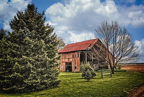 Scheune, rustikal, Scheunen, Ohio, digitale Kunst, ländlich, szenisch, Land, Landschaft, Schuppen, wirft, Bauernhof, Bauernhöfe, Landwirtschaft, landwirtschaftlich, Bauernhaus, champaign, Bezirk, Americana, Foto, fotografieren, Struktur, Strukturen, sturgell, William Sturgell, bill sturgell, historisch, Wohnkultur, corral, Gebäude, Silo, Wolken, Himmel, Baum, Bäume, wolkig, Unkraut, Champaign County, Urbana, Pflanze, gebaute Struktur, die Architektur, wolke - himmel, Natur, grüne Farbe, Gras, Feld, Gebäudehülle, Tag, Haus, keine Leute, Wachstum, landwirtschaftliches Gebäude, draußen, 5K, CC0, gemeinfrei, lizenzfrei