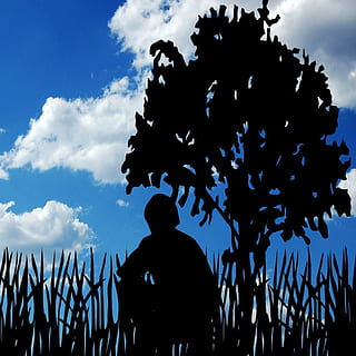 skyer, mand, træ, himmel, person, natur, han-, udendørs, blå, udsigt, crouching, knælende, hugsiddende, silhuet, sky - himmel, herrer, rigtige mennesker, fritidsaktivitet, livsstil, mennesker, stående, gruppe af mennesker, bagfra, plante, lav vinkel visning, dag, Kvinder, voksen, 1080P, CC0, offentligt domæne, royaltyfrie