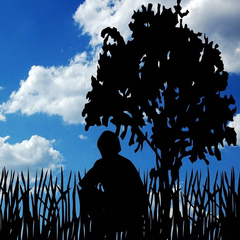 skyer, mand, træ, himmel, person, natur, han-, udendørs, blå, udsigt, crouching, knælende, hugsiddende, silhuet, sky - himmel, herrer, rigtige mennesker, fritidsaktivitet, livsstil, mennesker, stående, gruppe af mennesker, bagfra, plante, lav vinkel visning, dag, Kvinder, voksen, 1080P