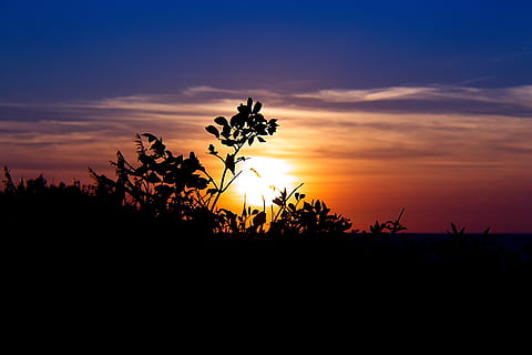 sol, configuració, silueta, ombra, esquema, cel, blau, naturalesa, aigua, llac marí, posta de sol, planta, bellesa a la natura, tranquil·litat, escenics - natura, creixement, escena tranquil·la, color taronja, cap gent, arbre, còpia espai, retroil·luminat, núvol - cel, paisatge, idíl·lic, a l'aire lliure, fosc, cel romàntic, 5K, CC0, domini públic, lliure de regalies