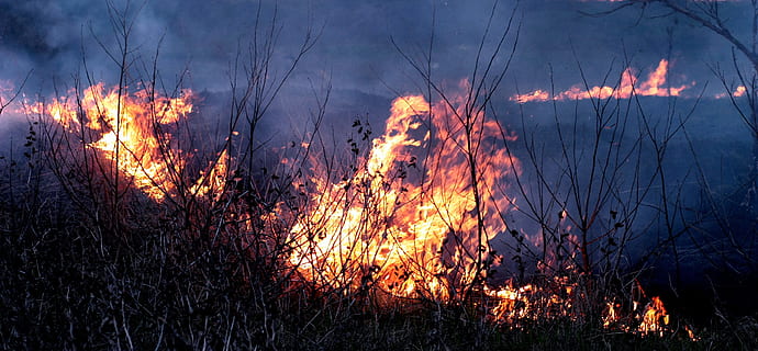 brand, rook, vlam, ramp, rood, apocalyptische, verschrikking, vuur - natuurverschijnsel, brandend, warmte - temperatuur, natuur, hel, gloeiend, verbrand, buitenshuis, bosbrand, Gevaar, rook - fysieke structuur, waarschuwingsbord, teken, milieu problemen, communicatie, ongevallen en rampen, Bos, land-, natuurramp, fabriek, beweging, vreugdevuur, 4K, CC0, publiek domein, royaltyvrij