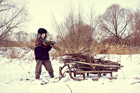 boy pilling firewood, brown, wooden, snow sked, winter, war, difficult time, sani, village, firewood, hostilities, the germans, history, rus, forest, nature, coldsnap, cold, wartime, blockade, leningrad, volgograd, the ussr, blockade lenigrada, cold temperature, snow, real people, full length, tree, bare tree, one person, standing, land, day, field, lifestyles, leisure activity, clothing, plant, front view, warm clothing, outdoors, 4K, CC0, public domain, royalty free