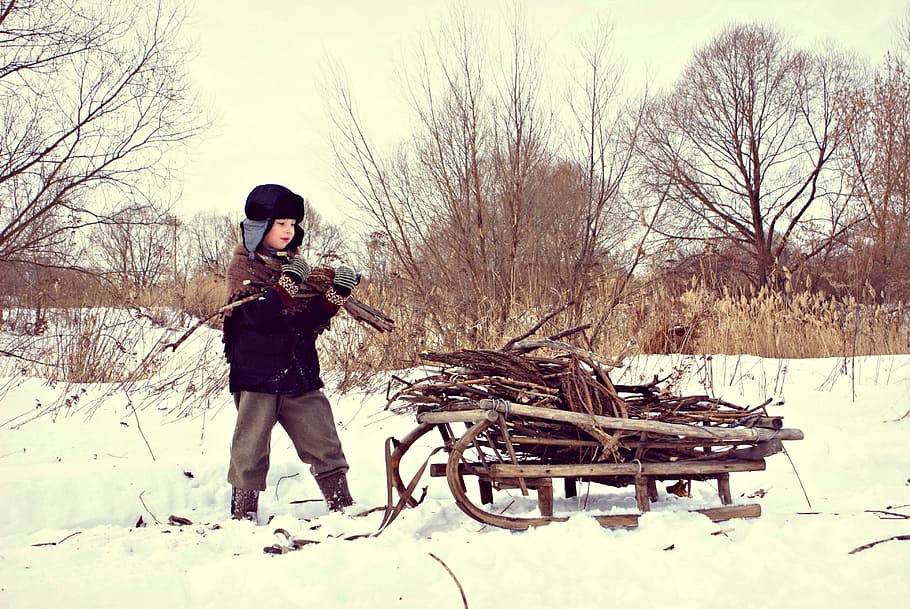 xicotets de llenya, marró, fusta, patins de neu, hivern, guerra, temps difícil, sani, poble, llenya, hostilitats, els germans, història, rus, bosc, naturalesa, coldsnap, fred, temps de guerra, bloqueig, Leningrad, volgograd, la ussr, bloqueig lenigrada, temperatura de fred, neu, persones reals, longitud completa, arbre, arbre nu, una persona, de peu, terra, dia, camp, estils de vida, activitat d'oci, roba, planta, vista frontal, roba calenta, a l'aire lliure, 4K