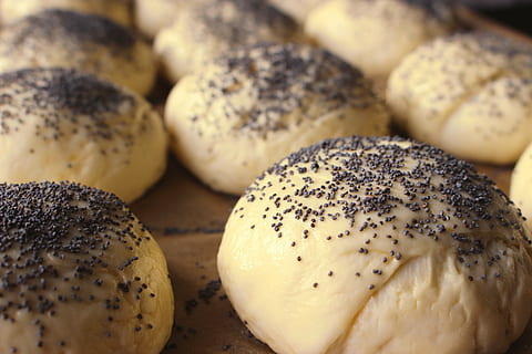 Gebäckbrot, Brotteig, Brot, Bäckerei, Frühstück, kleines Brot, Küche, Ofen, Essen und Trinken, Lebensmittel, gesundes Essen, keine Leute, Frische, Nahansicht, Vollbild, drinnen, Tag, Wohlbefinden, Gemüse, gebacken, Stillleben, Brötchen, Mohn, Samen, Geschäft, Fokus auf den Vordergrund, fertig für den Verzehr, rohe Kartoffel, Kartoffel, französisches Essen, Kohlenhydrate - Nahrungsmitteltyp, 5K, CC0, gemeinfrei, lizenzfrei