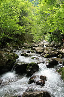 natur, Skov, lys, træer, plante, landskab, Abkhasien, bjerg flod, vand, sten, sommer, flodbredden, grøn, rejse, bjerge, strøm, flod, vandfald, træ, udendørs, rock-objekt, flydende vand, grøn farve, scenics, friskhed, skønhed i naturen, blad, mos, flyder, bjerg, sten - objekt, ingen mennesker, dag, bevægelse, klippe, scenics - natur, solid, jord, vækst, sløret bevægelse, strøm - rindende vand, regnskov, 4K, CC0, offentligt domæne, royaltyfrie