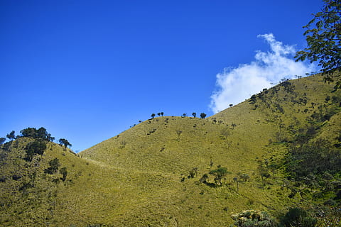 Hügel, Indonesien, Landschaft, Java, Wandern, Asien, Berg, Reise, Abenteuer, Himmel, Schönheit in der Natur, Szenen - Natur, ruhige Szene, Natur, Umgebung, Pflanze, Ruhe, Nicht-städtische Szene, Blau, keine Leute, Land, wolke - himmel, grüne Farbe, Tag, Baum, idyllisch, Flachwinkelansicht, draußen, 4K, CC0, gemeinfrei, lizenzfrei