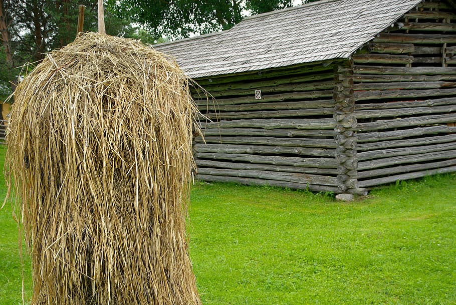 Finland, Farm, Haystack, Architecture, agriculture, hay, grass, field, bale, plant, land, day, nature, wood - material, green color, tree, built structure, outdoors, no people, growth, building exterior, 4K
