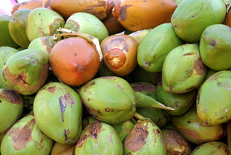 coco, verd, alimentació saludable, menjar i beguda, menjar, benestar, frescor, marc complet, fruita, gran grup d'objectes, color verd, abundància, fons, mercat, a la venda, venda al detall, cap gent, dia, natura morta, Paradeta, primer pla, vista d’angle alt, a l'aire lliure, venda, madur, visualització al detall, 2K, CC0, domini públic, lliure de regalies