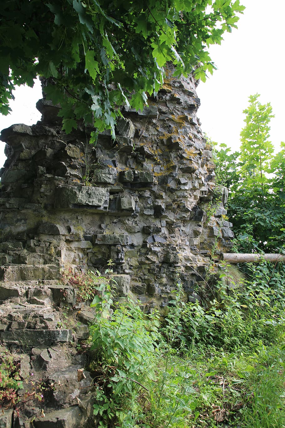 pedra, naturalesa, resistent, paret, ruïna, castell, verd, arbre, planta, estructura construïda, arquitectura, dia, cap gent, creixement, sòlid, cel, vista d’angle baix, antiga ruïna, història, edifici, el passat, exterior de l'edifici, a l'aire lliure, vell, antic, paret de pedra, civilització antiga, arruïnat, 5K