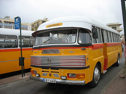 bus, malta, vehicles, transportation, land Vehicle, travel, mode of Transport, passenger, street, mode of transportation, city, public transportation, day, architecture, no people, motor vehicle, yellow, outdoors, car, sky, built structure, building exterior, nature, road, school bus, 2K, CC0, public domain, royalty free