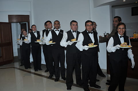 waiters, forming, line, holding, plate, foods, beside, white, wall, service, group of people, adult, males, indoors, men, mature men, women, mature adult, looking at camera, front view, business, standing, portrait, females, group, in a row, full length, food and drink, people, coworker, 2K, CC0, public domain, royalty free