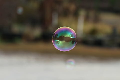 fotografia a fuoco, bolla, riflessione, far cadere, aria, sfera, il giro, galleggiante, sapone, riflettere, superficie, acqua, liquido, trasparente, luce, chiaro, gocciolina, brillante, sapone sud, natura, cerchio, all'aperto, sfondi, mezz'aria, vulnerabilità, fragilità, multicolore, concentrarsi sulle conoscenze acquisite, giorno, forma, avvicinamento, volante, nessuno, forma geometrica, bellezza nella natura, albero, leggero, 5K, CC0, dominio pubblico, privo di copyright