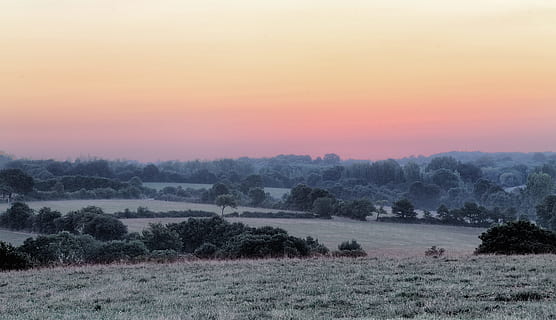 Grün, Bäume, Feld, golden, Stunde, Rasenplatz, Baumsicht, Baum, Wolke, Frost, Gras, Natur, Landschaft, szenen, ländliche Szene, draußen, Himmel, Sonnenuntergang, ruhige Szene, Schönheit in der Natur, Ruhe, Szenen - Natur, Umgebung, Pflanze, keine Leute, Nicht-städtische Szene, Land, Nebel, idyllisch, wolke - himmel, 4K, CC0, gemeinfrei, lizenzfrei