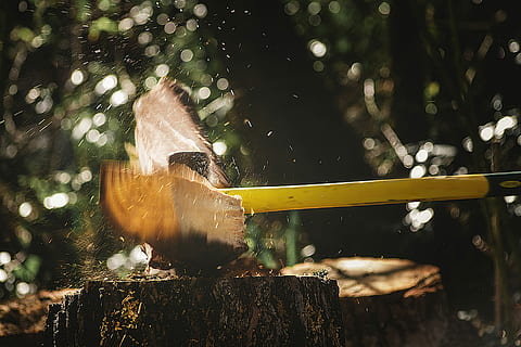 selektiv, fokus fotografie, Axt, gehackt, Holzplatte, hacken, Log, Bokeh, Holz, Tier, Wasser, Wirbeltier, Tierwelt, Tiere in freier Wildbahn, Tierthemen, ein Tier, Natur, Fisch, keine Leute, draußen, Tag, Schwimmen, Nahansicht, Bewegung, Angeln, Tiere in Gefangenschaft, Meer, Fokus auf den Vordergrund, Marine, Fischfang, 4K, CC0, gemeinfrei, lizenzfrei