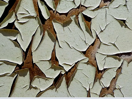 asciutto, natura, modello, sfondo, vernice scrostata, legna, astratto, ruvido, vecchio, parete, struttura, fotogramma intero, sfondi, parte vegetale, foglia, nessuno, avvicinamento, le foglie, giorno, vista dall'alto, strutturato, direttamente sopra, all'aperto, abbondanza, vulnerabilità, autunno, fragilità, modificare, secco, 2K, CC0, dominio pubblico, privo di copyright