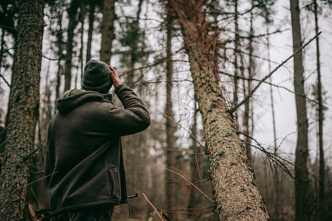 persona, in piedi, mezzo, foresta, giorno, spoglio, alberi, albero, caduto, escursione, bokeh, giacca, freddo, cappello, al di fuori, esplorando, Esplorare, a caccia, natura, Naute, ritratto, maschio, cacciatore, lavoro, sfondo, terra, una persona, pianta, tronco, tronco d'albero, persone reali, attività di svago, bosco, stili di vita, retrovisore, capi di abbigliamento, all'aperto, persona irriconoscibile, detenzione, vestiti caldi, cappuccio - abbigliamento, 5K, CC0, dominio pubblico, privo di copyright