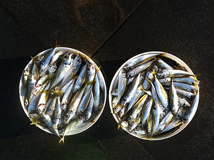kalastaa, kuoret, sardiineja, lähikuva, kiiltävä, metalli-, hopea - metalli, ei ihmisiä, sisällä, alumiini, merenelävät, eläin, selkärankainen, korkea kulma, tuoreus, ruoka ja juoma, ruoka, asetelma, pöytä, raaka ruoka, keittiöväline, hopea värillinen, eläinten teemoja, suoraan edellä, levy, tarjotin, saviastiat, 2K, CC0, public domain, rojaltivapaa