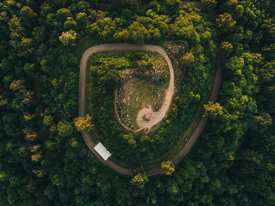 aèria, vista, carretera, carretera espiral, envoltat, arbres, durant el dia, drone, mirant abaix, Stuttgart, naturalesa, arbre, Camí, turó, verd, bosc, fantasma 4, fantasma, dji, dronstagram, planta, creixement, vista d’angle alt, color verd, dia, vista aèria, bellesa a la natura, cap gent, escenics - natura, tranquil·litat, a l'aire lliure, terra, medi ambient, arquitectura, aigua, flor, directament a sobre, 2K