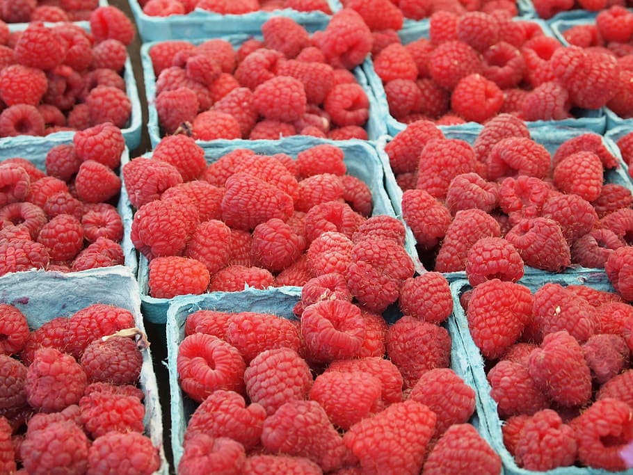 baies fresques, safates de gerds, gerds, fruita, vermell, punnet, Caixa, menjar i beguda, abundància, menjar, frescor, venda al detall, alimentació saludable, gran grup d'objectes, fruites de baies, mercat, benestar, cap gent, marc complet, a la venda, fons, elecció, Paradeta, primer pla, madur, litxi, 4K