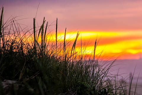 valjeta, hämärä, ruoho, makro, auringonnousu, auringonlasku, luonto, ulkona, auringonnousu - aamunkoitto, kesä, auringonvalo, maisema, taivas, aurinko, kasvi, kauneus luonnossa, kasvu, tyyneys, rauhallinen kohtaus, oranssi väri, maisemat - luonto, ei ihmisiä, pilvi - taivas, vesi, meri, keltainen, maa, dramaattinen taivas, romanttinen taivas, Marram ruoho, 2K, CC0, public domain, rojaltivapaa