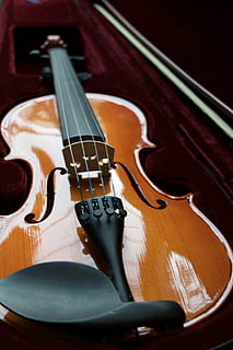 Marrone, violino, dentro, Astuccio, velluto, stringa, arco, di legno, musica, strumento musicale, musica classica, stringa di strumenti musicali, strumento a corda, legno - materiale, classico, musicista, arte e intrattenimento, stile classico, arte, attrezzatura musicale, cultura artistica e intrattenimento, nessuno, in casa, natura morta, avvicinamento, vista dall'alto, arco - materiale musicale, chitarra, giorno, messa a fuoco selettiva, 5K, CC0, dominio pubblico, privo di copyright
