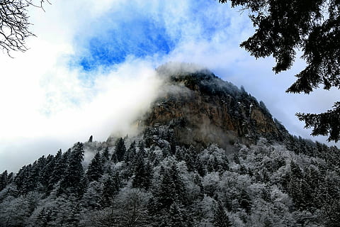 Berg, Baum, Truthahn, Pflanze, Schönheit in der Natur, Szenen - Natur, Himmel, Ruhe, ruhige Szene, wolke - himmel, Nicht-städtische Szene, keine Leute, Natur, Tag, Wachstum, Wald, Land, kalte Temperatur, Flachwinkelansicht, Winter, draußen, Kiefer, Nadelbaum, schneebedeckter Berg, 5K, CC0, gemeinfrei, lizenzfrei